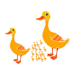 Mallard female duck whit ducklings swims on a lake from the Danube 