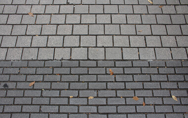 Texture of square paving tile. Pattern of gray tiles in the street. Concrete pavers with autumnal leaves close up background.