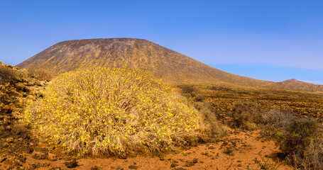 The extinct volcano on Lobos Island, Canary Islands