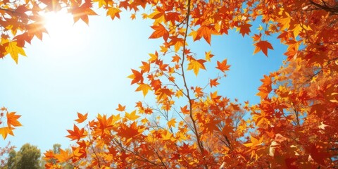Beautiful art autumn sunny nature background with colorful leaves, warm sunlight, and clear blue sky, sunlight