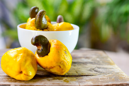 O que entendemos popularmente como "caju" se constitui de duas partes: o fruto propriamente dito, que &eacute; a castanha; e seu ped&uacute;nculo floral, o pseudofruto, um corpo piriforme, amarelo ou vermelho