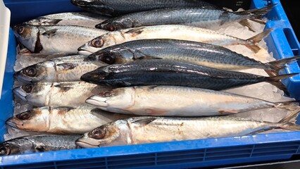 Saba on ice at a seafood restaurant