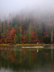 landscape with lake in autumn. foggy weather. mysterious woods. trees in colorful foliage. spooky atmosphere. synevyr national park, ukraine in fall season