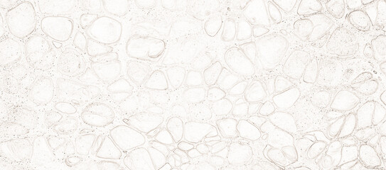 An intricate white abstract pattern resembling organic stone-like shapes and cracks, forming a vintage, delicate, and natural texture. © kartik