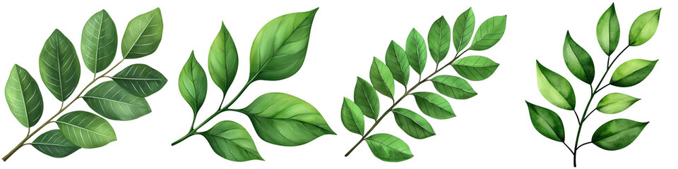 Obraz premium A collection of vibrant green leaves showcasing various shapes and sizes, highlighting natural beauty and diversity.