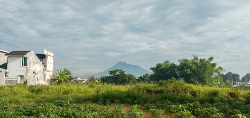 Fototapeta premium rice field in the mountains