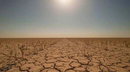 Urgent Call for Sustainable Water Management: Close-up of Drought-Affected Field, Climate Change Impact