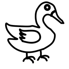 Duck