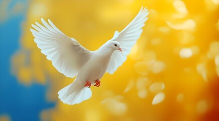 white dove of peace against the background of the Ukrainian flag