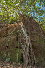 Beautiful Sunset view of satpura mountain range, View from Priyadarshini Point, Pachmarhi, Madhya Pradesh, India.