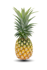 pineapple fruit isolated on white background. This has clipping path.
