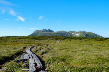 夏山の風景