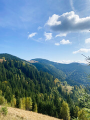 Scenic view of lush green mountains under a vibrant blue sky. Carpathian mountains, Ukraine.