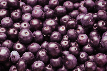 Ripe acai berries as background, closeup view