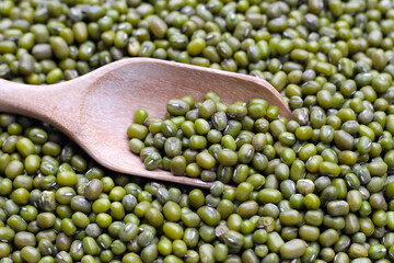 Mung bean on white background.