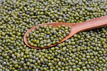 Mung bean on white background.