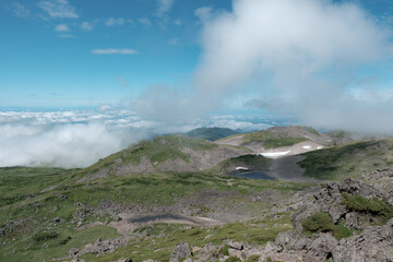 夏山の風景