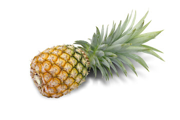 pineapple fruit isolated on white background. This has clipping path.
