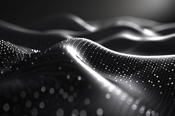 The undulating waves of contrasting light and shadow form an abstract landscape, evoking a sense of depth and fluidity. The delicate interplay of highlights and dark tones captivates the viewer