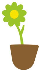 Beautiful flower nature vector