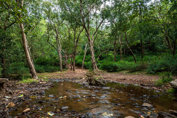 Bee Fall is a famous waterfall in Pachmarhi, Madhya Pradesh, India.