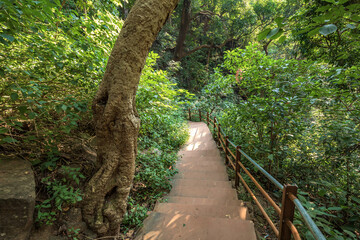 Obraz premium Bee Fall is a famous waterfall in Pachmarhi, Madhya Pradesh, India.