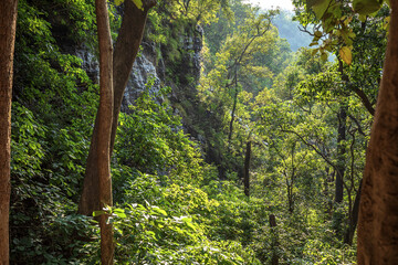 Bee Fall is a famous waterfall in Pachmarhi, Madhya Pradesh, India.