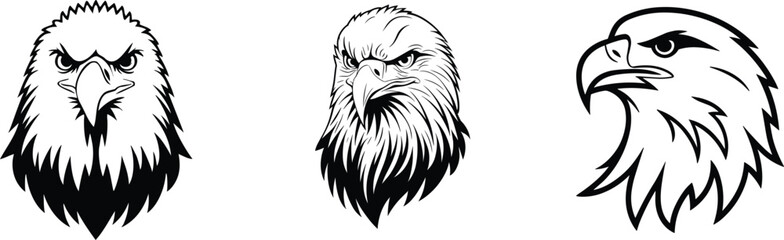 Obraz premium Group of bald eagle, vector illustration.