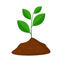 Vector illustration of seedling in soil on transparent background