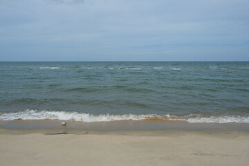 Sandy beach and sea for background