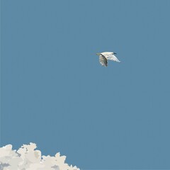 birds in flight