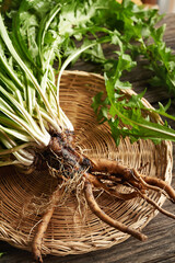 Whole dandelion plants with roots in a wicker basket