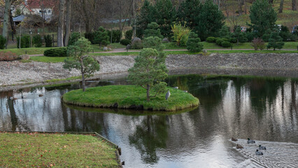 Fototapeta premium little pond island on the park