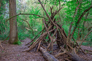 A makeshift wooden shelter built with sticks and branches in a lush green forest. The structure appears primitive and blends naturally with the surrounding vegetation, evoking a sense of wilderness an