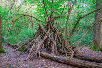 A makeshift wooden shelter built with sticks and branches in a lush green forest. The structure appears primitive and blends naturally with the surrounding vegetation, evoking a sense of wilderness an