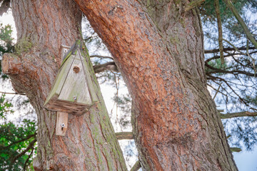 A triangular wooden birdhouse mounted on the trunk of a tree with textured bark. The birdhouse features a single round entrance hole and appears slightly weathered, blending harmoniously with the natu