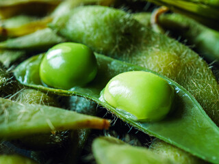 Close-up of boiled Green soybeans, Many fresh Green soybeans as background, top view