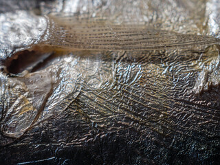 Close-up of mackerels fish skin and skin mackerels details