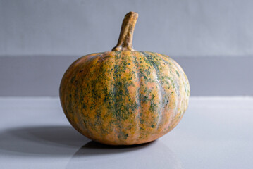 Side view of orange pumpkin, selective focus.
