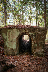 Ruins of cement structure from a nitrogen production facility built in South Carolina during the early twentieth century