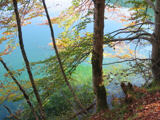 Herbstfarben Impressionen aus dem Allgäu