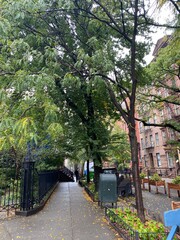 Urban boutique landscapes