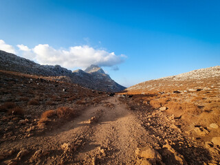 Road stretching under a clear blue sky, creating a simple and open landscape scene.