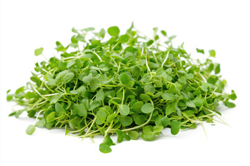 Fototapeta premium Fresh microgreens pile on a white background, ideal for salads, garnishes, and healthy cooking in contemporary kitchens. Generative AI