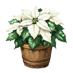 Poinsettia in Wooden Pot: A vibrant, red poinsettia plant blooms in a rustic wooden pot, a classic symbol of Christmas cheer and holiday spirit.