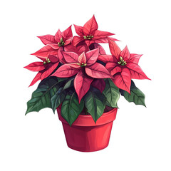 Poinsettia in Wooden Pot: A vibrant, red poinsettia plant blooms in a rustic wooden pot, a classic symbol of Christmas cheer and holiday spirit.