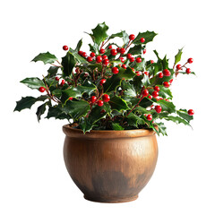 Holly Sprig with Red Berries: A classic festive decoration for the holiday season. The sprig is adorned with lush green leaves and bright red berries, adding a touch of cheer to any setting. 