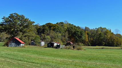 Farm outbuildings in a country meadow