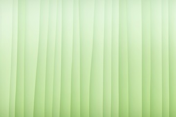 Obraz premium Bamboos gradient background green backgrounds texture.