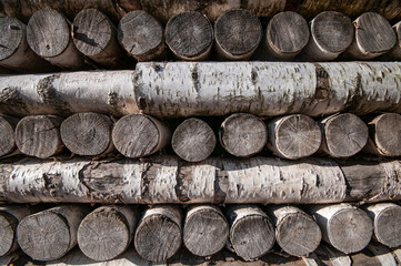 Woodpile of round birch logs closeup